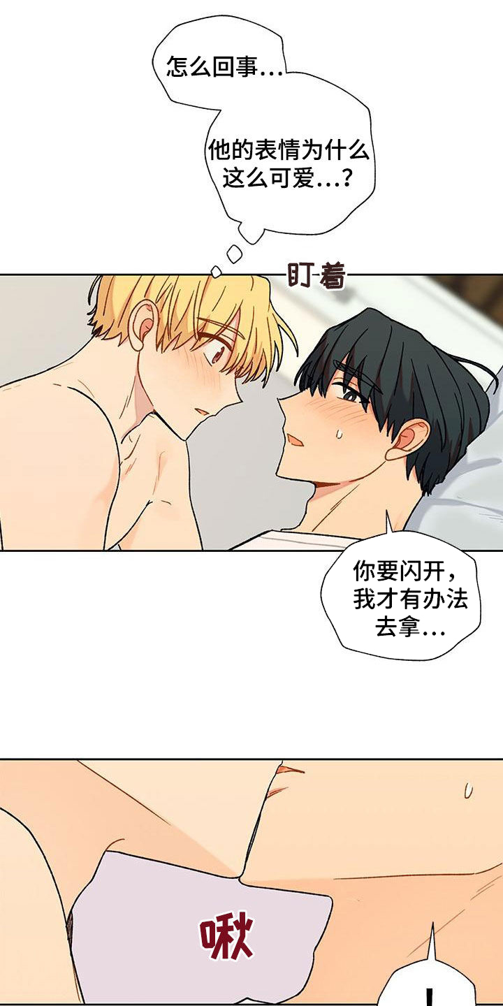 第49章：爱意表达3