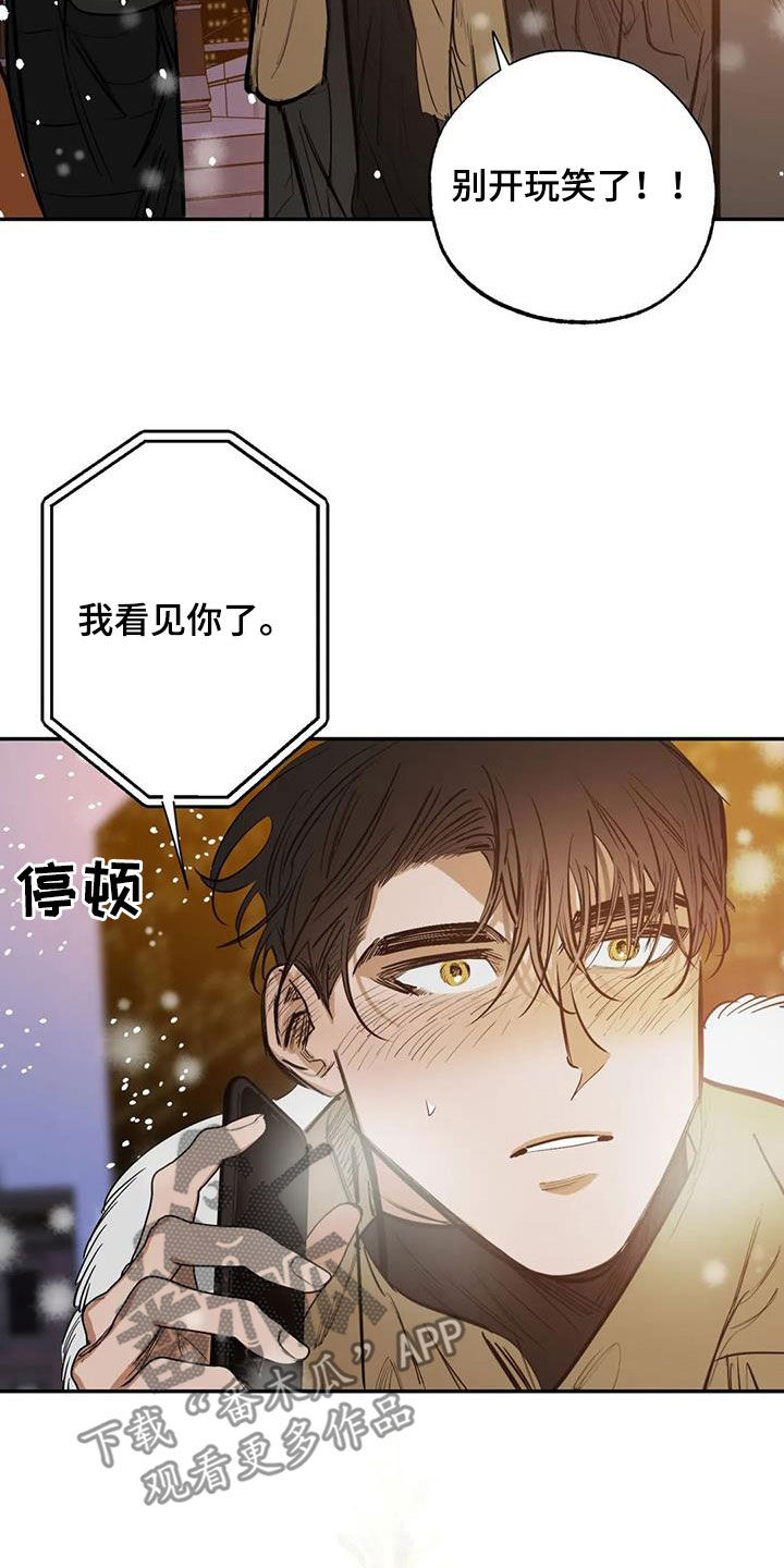 第102章：【番外完结】心愿实现2
