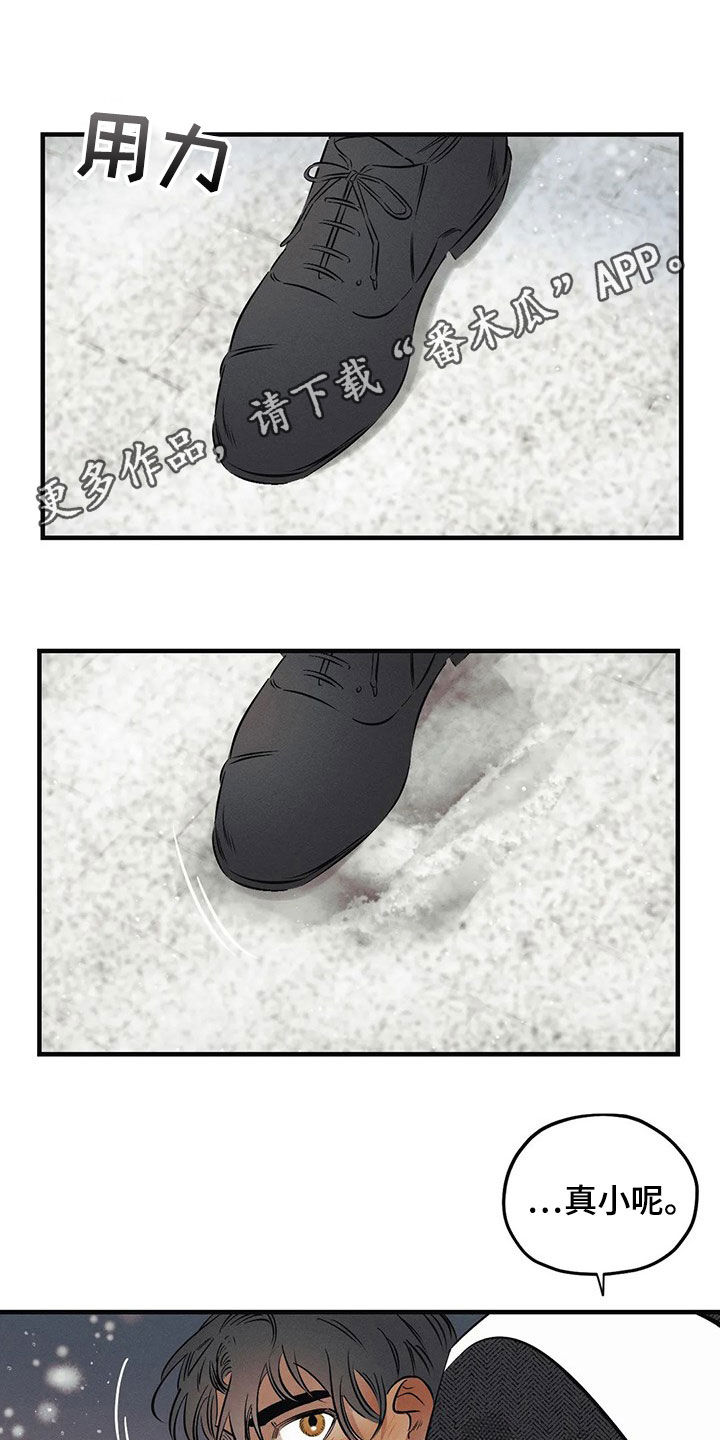 第27章：【圣诞特辑】许愿0