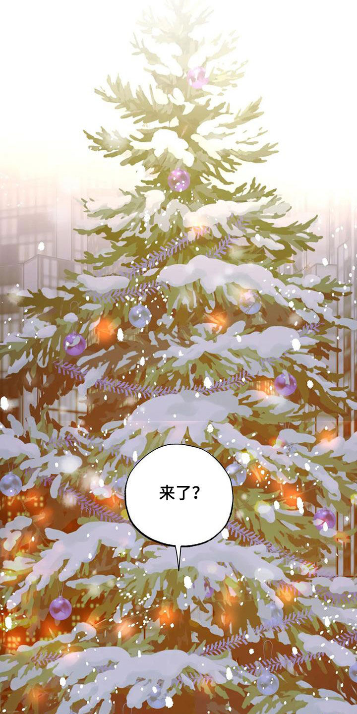 第102章：【番外完结】心愿实现3