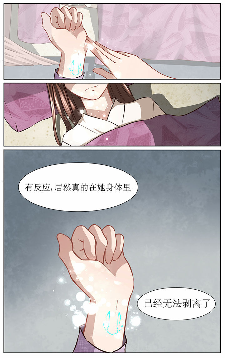 第41章：3