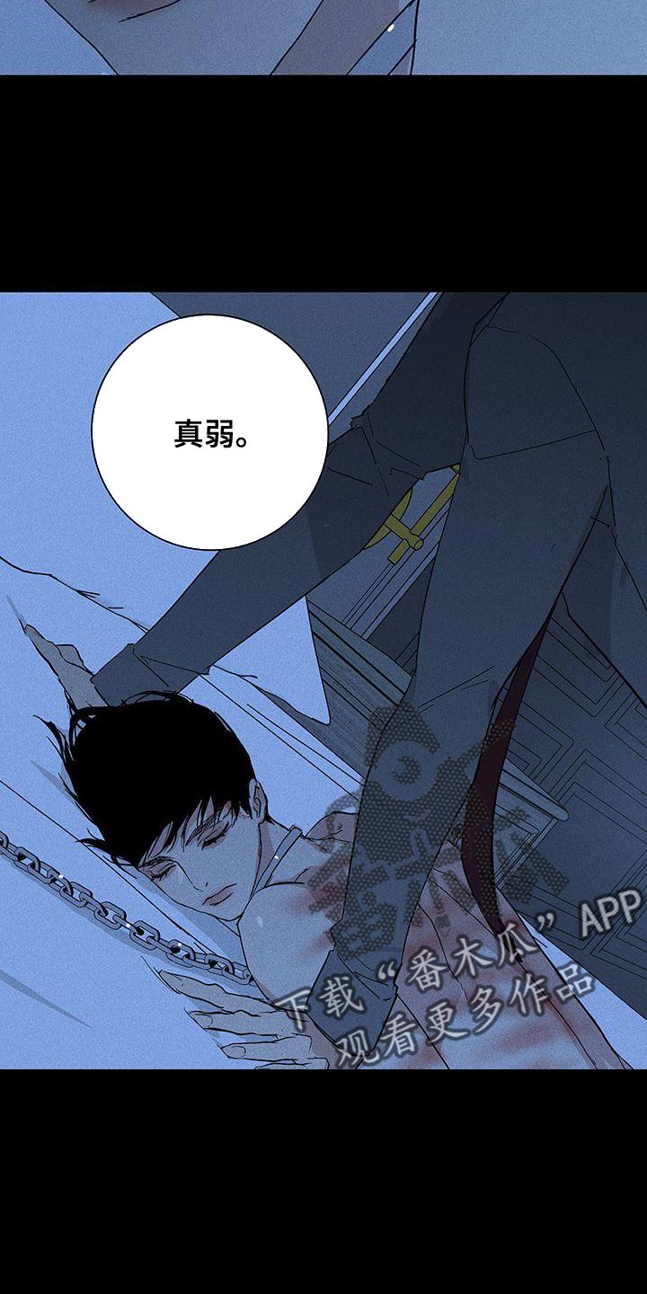 第161章：【第二季】真弱4