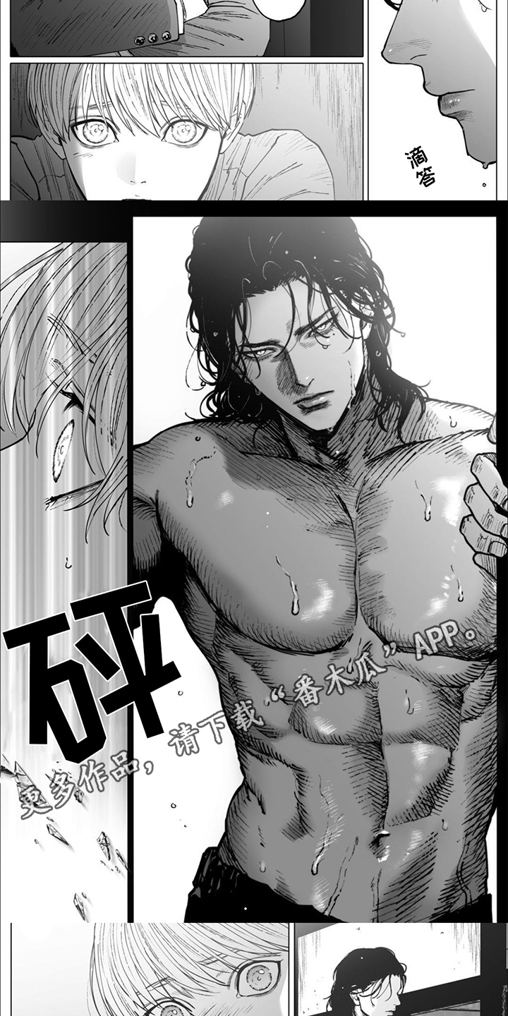 第14章：传达想法1