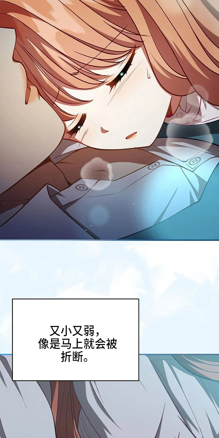 第61章：试试吧4