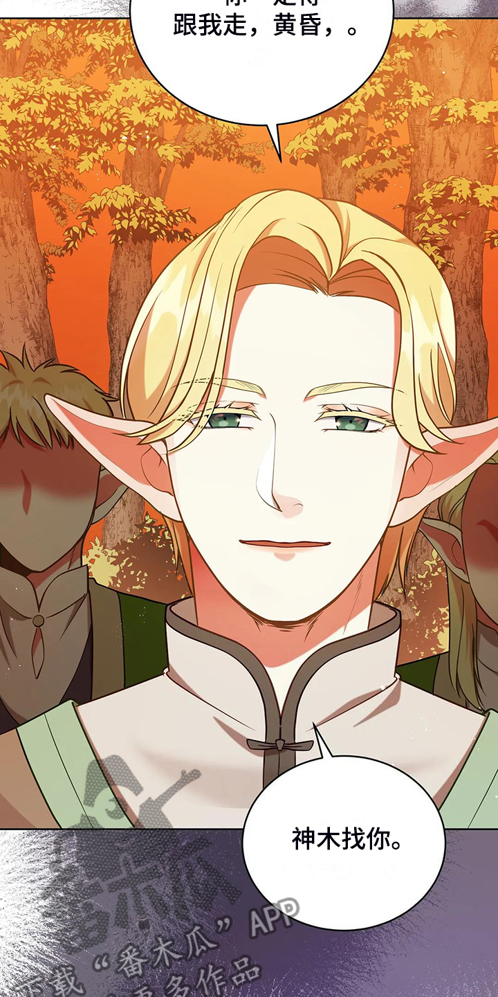 第47章：迷路了4