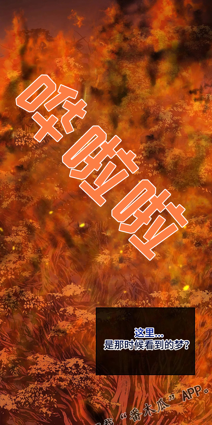 第46章：梦映照现实？0