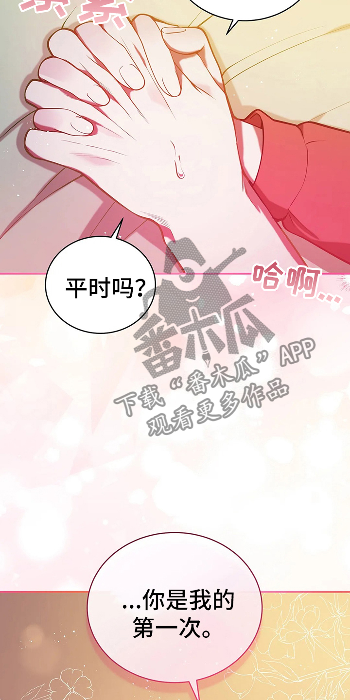 第40章：精灵界碎片2