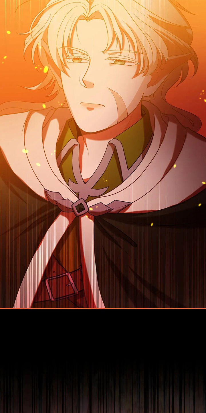 第36章：去往精灵界3