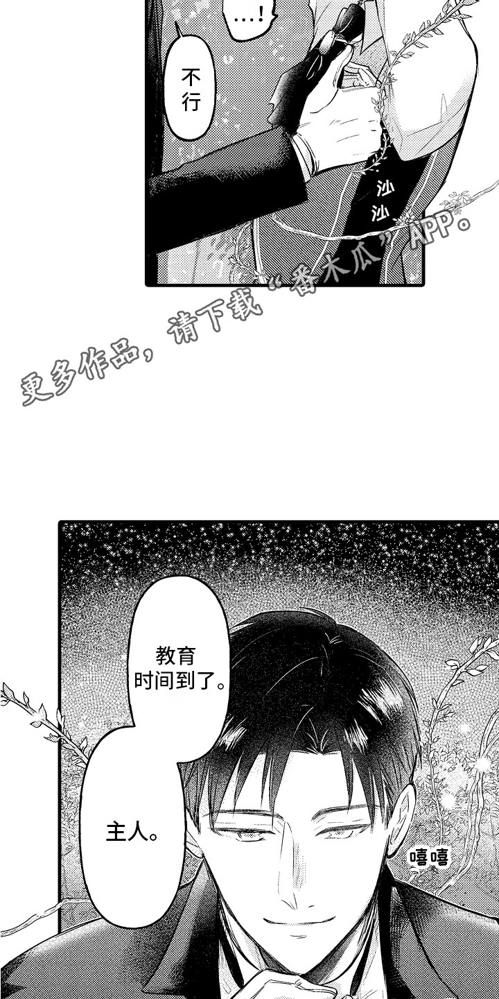 第12章：惩罚4