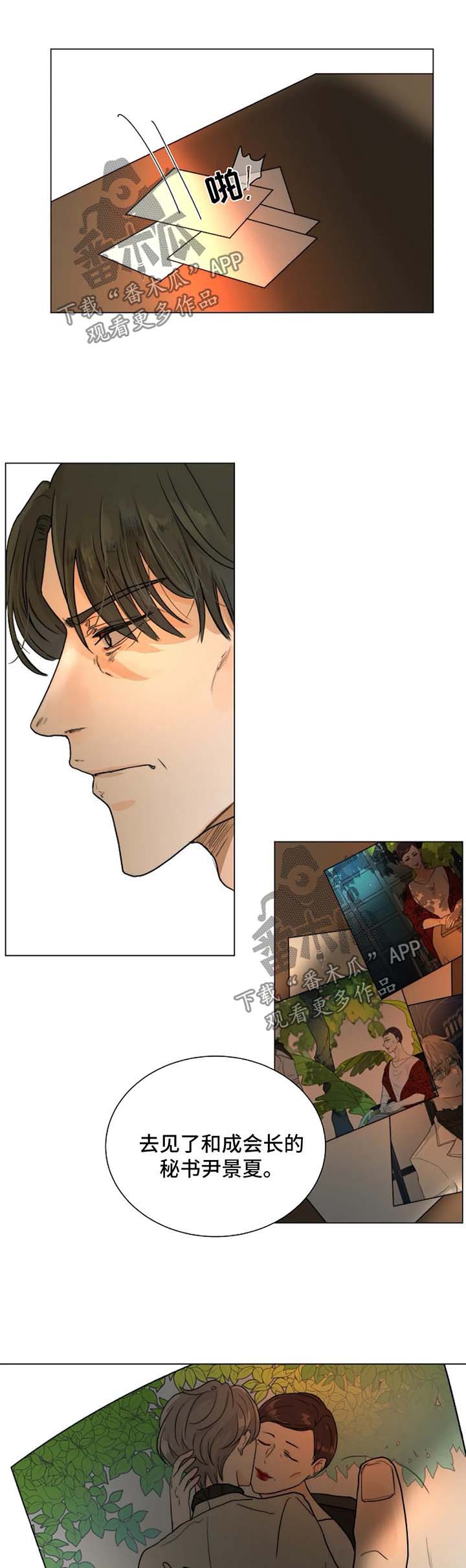 第51章：汇报报告1