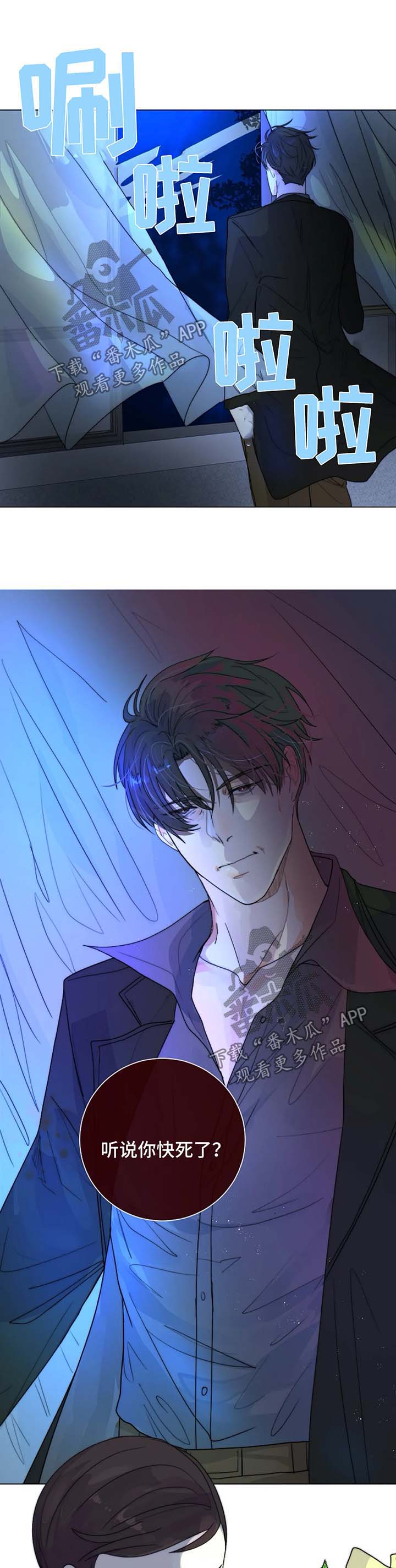 第29章：未知的结局3