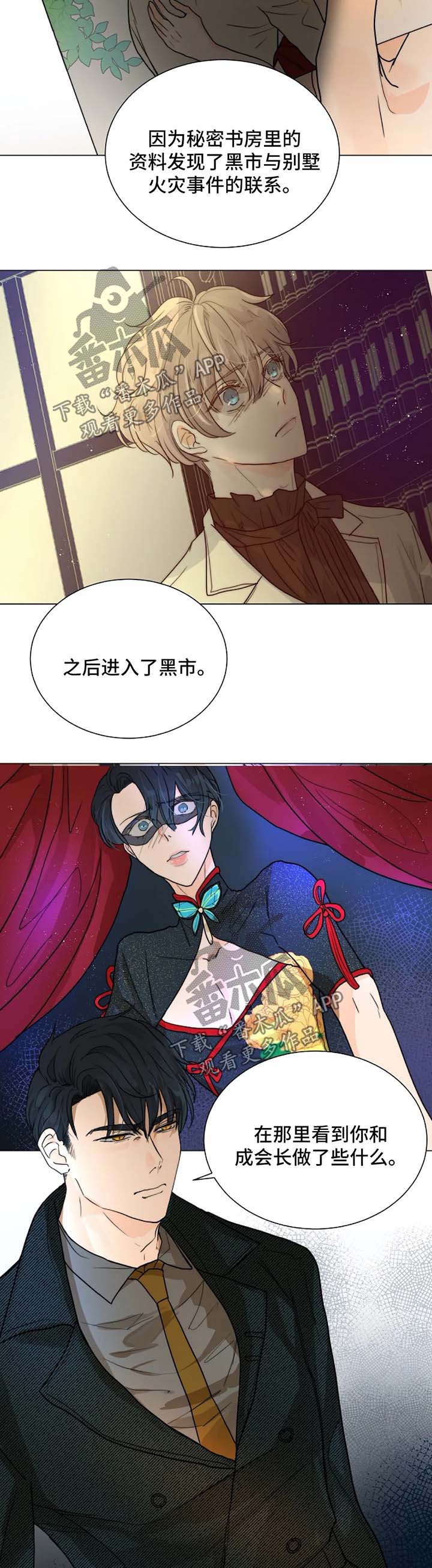 第51章：汇报报告2