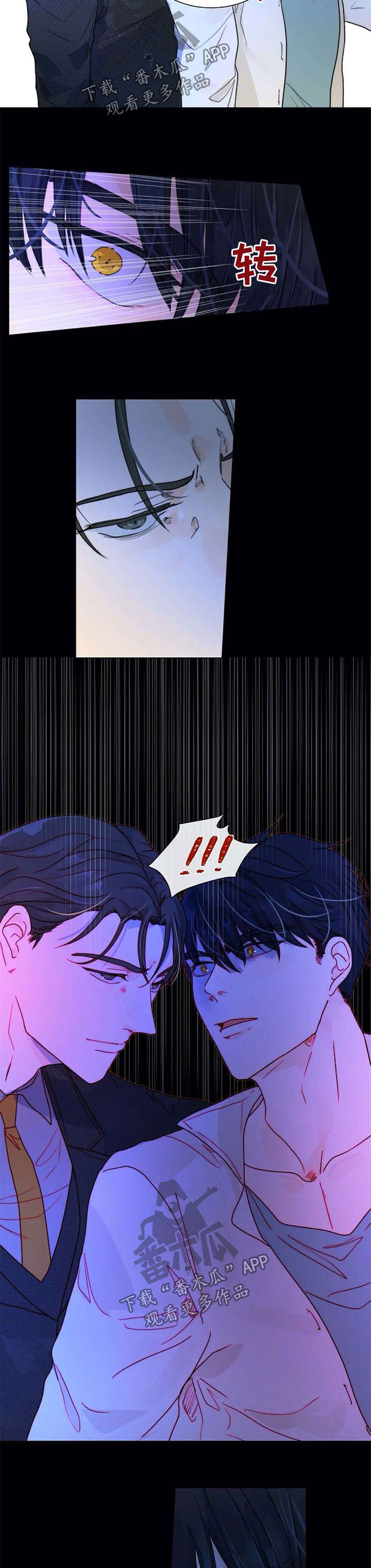 第59章：一辈子保护你1