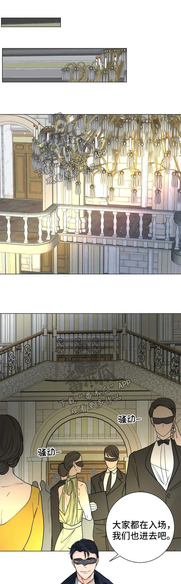 第36章：进入黑市0