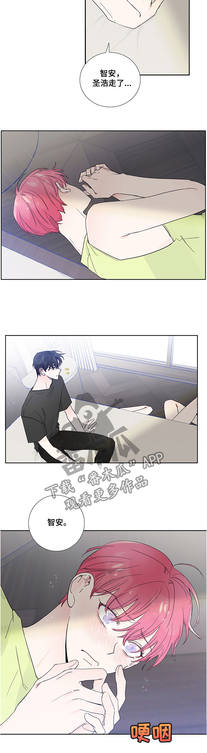 第60章：伤心的智安2