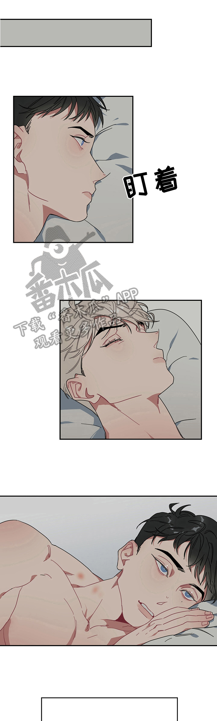 第3章：带刺的玫瑰4