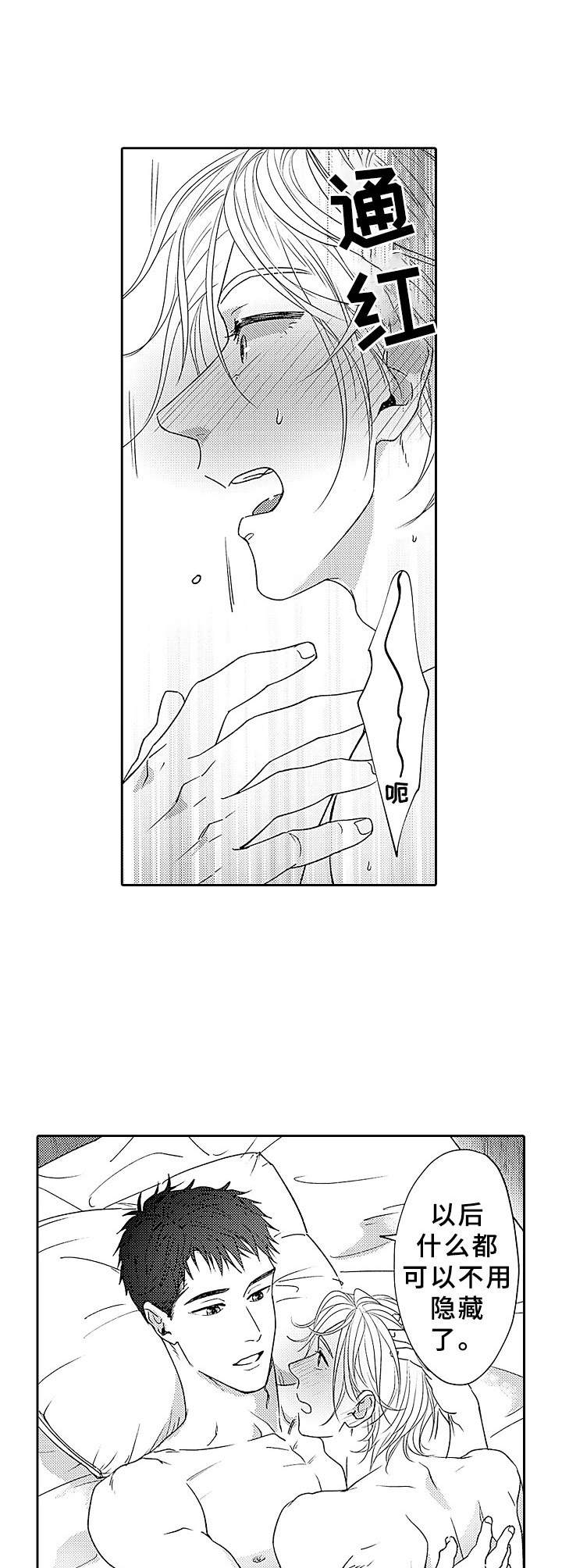 第19章：不用隐藏4