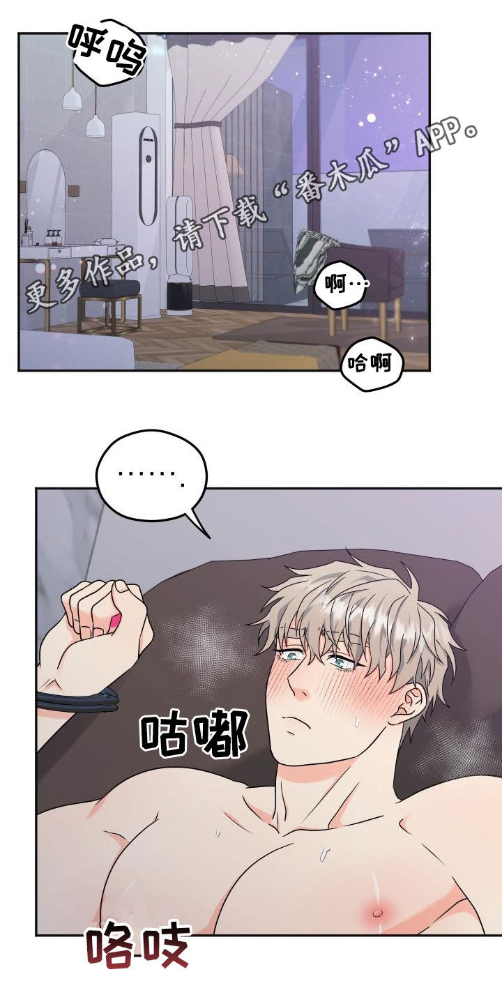 第56章：【番外完结】幸福的事0