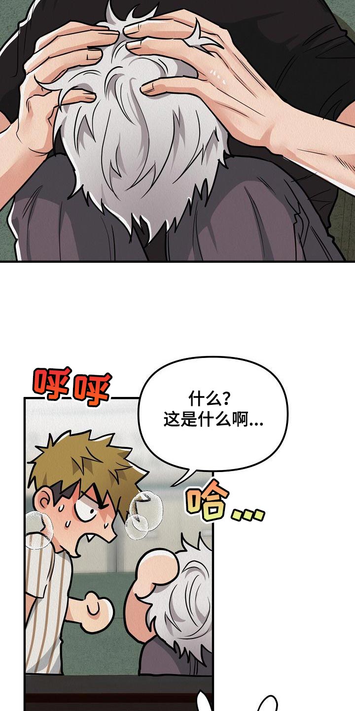 第22章：【第二季】请您为我保密3