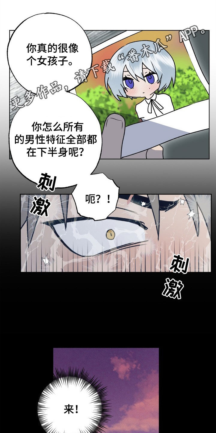 第50章：新婚旅行0