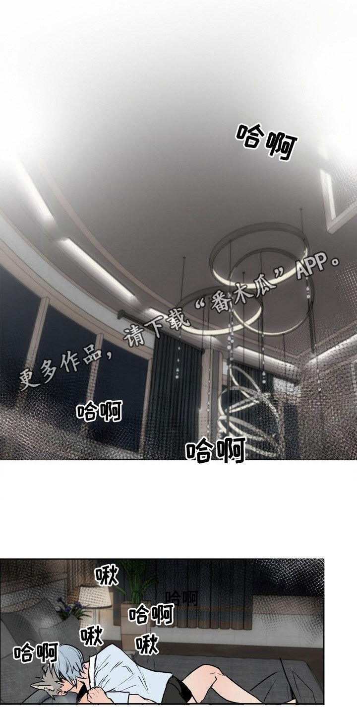 第36章：让人着急0