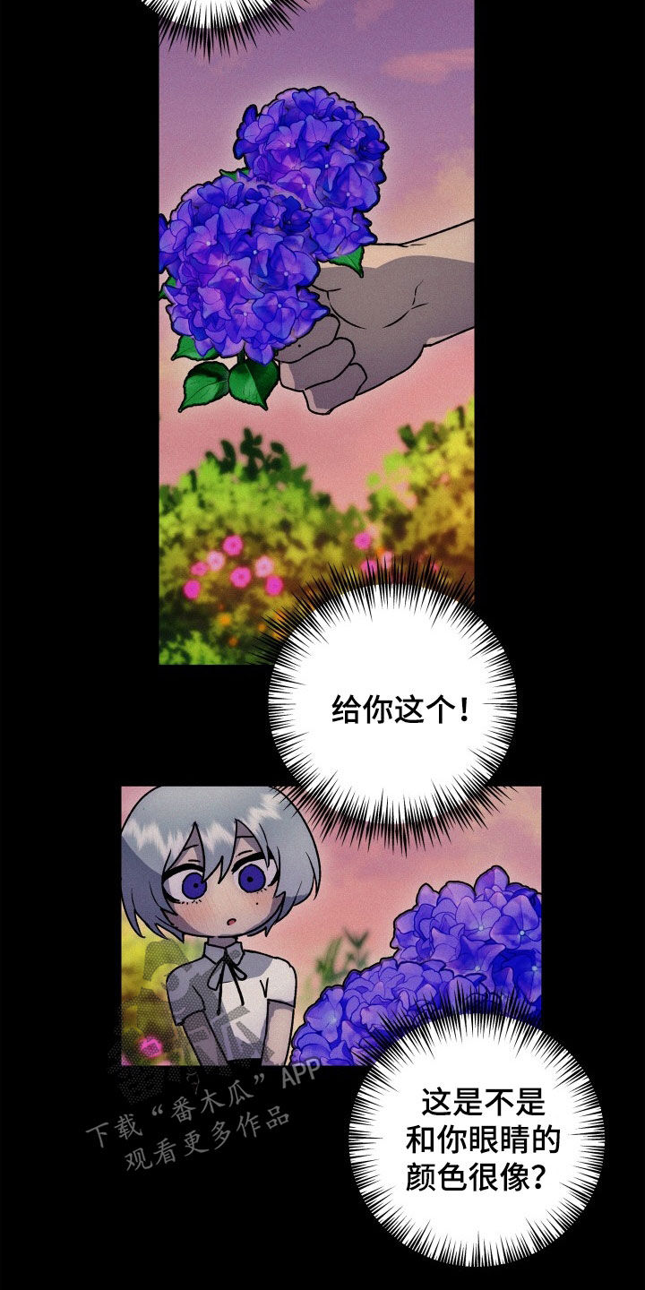 第50章：新婚旅行1