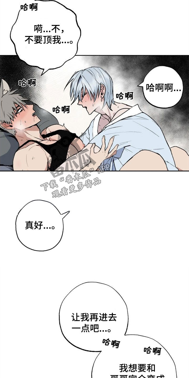 第37章：太喜欢了3