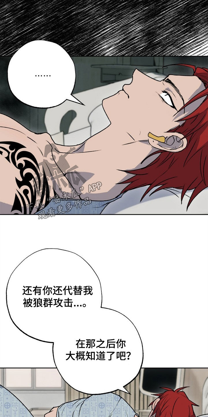 第46章：狗狗与主人3