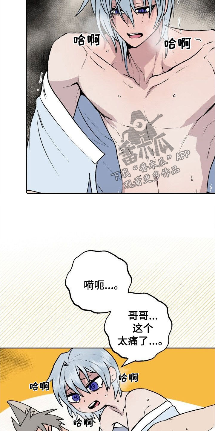 第37章：太喜欢了1