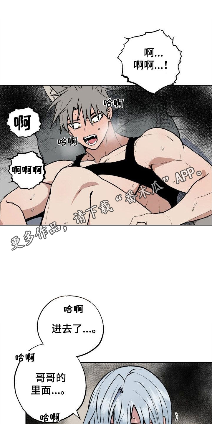 第37章：太喜欢了0