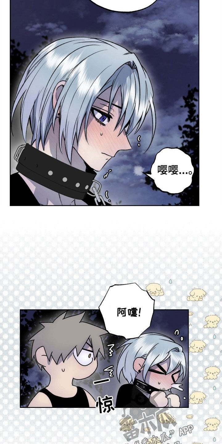 第47章：致命缺陷3