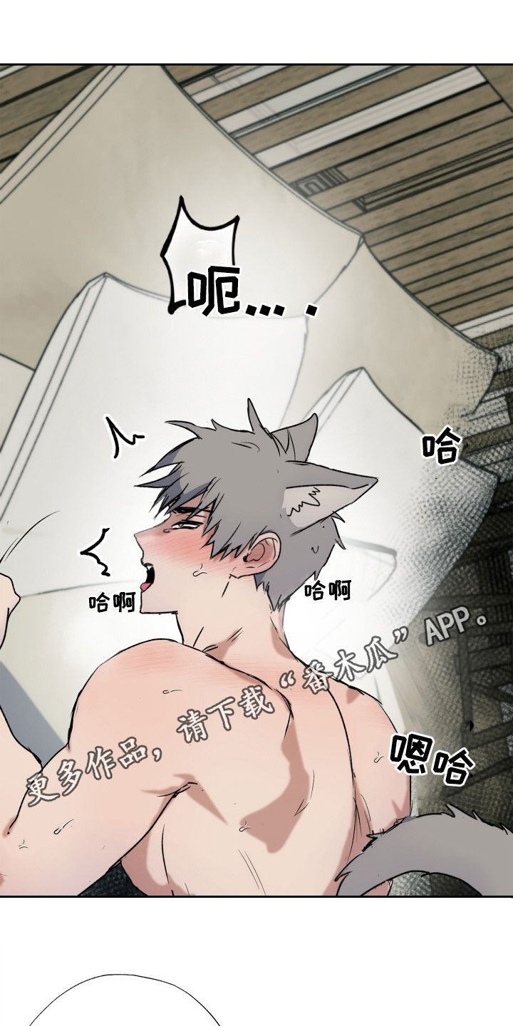 第51章：人生有意义（第一季完结）0