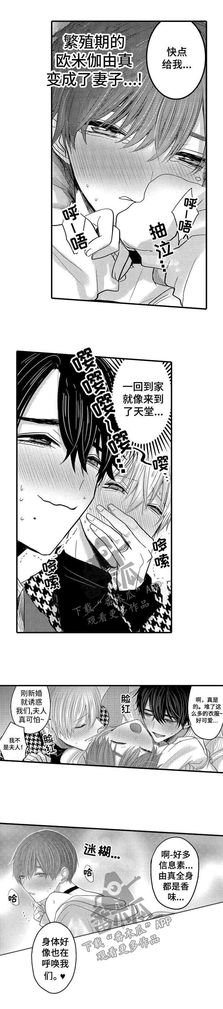 第49章：【第二季】我的妻子们4