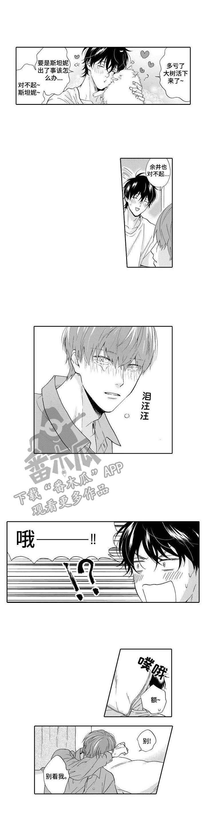 第17章：负责（完结）0