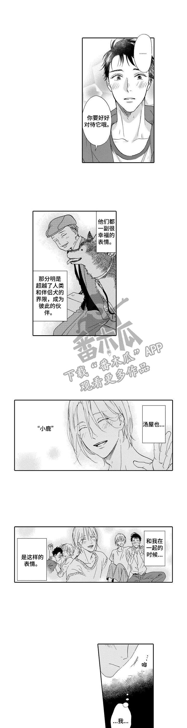 第13章：很幸福0