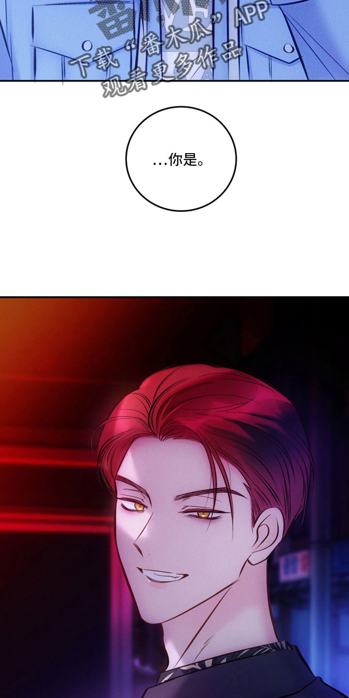 第52章：到底为什么2