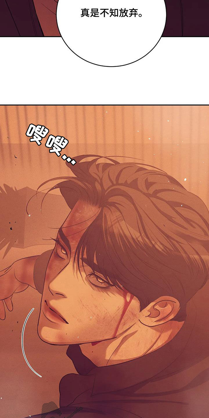 第176章：【第三季】搏斗2