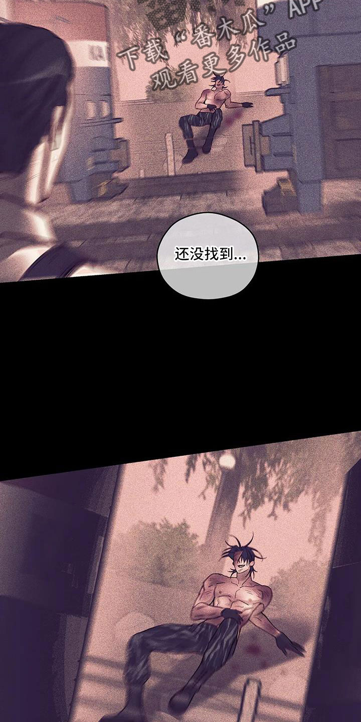 第156章：【第三季】命真硬2