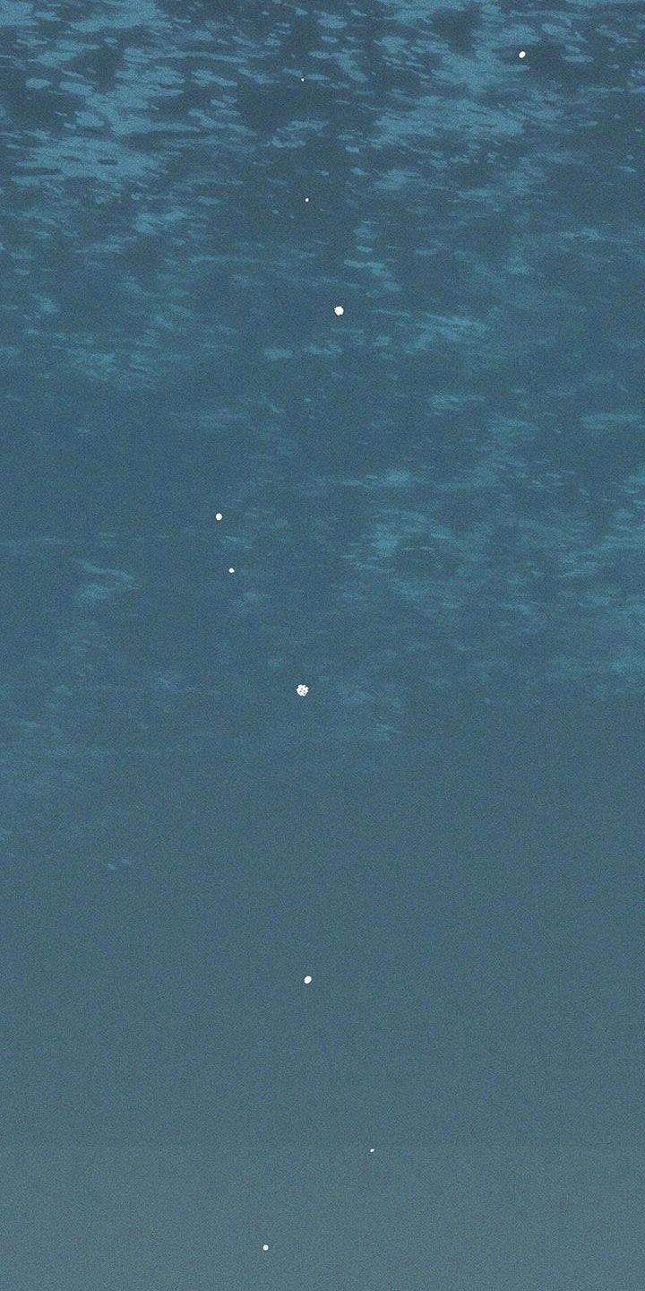 第182章：【第三季完结】毫不犹豫1