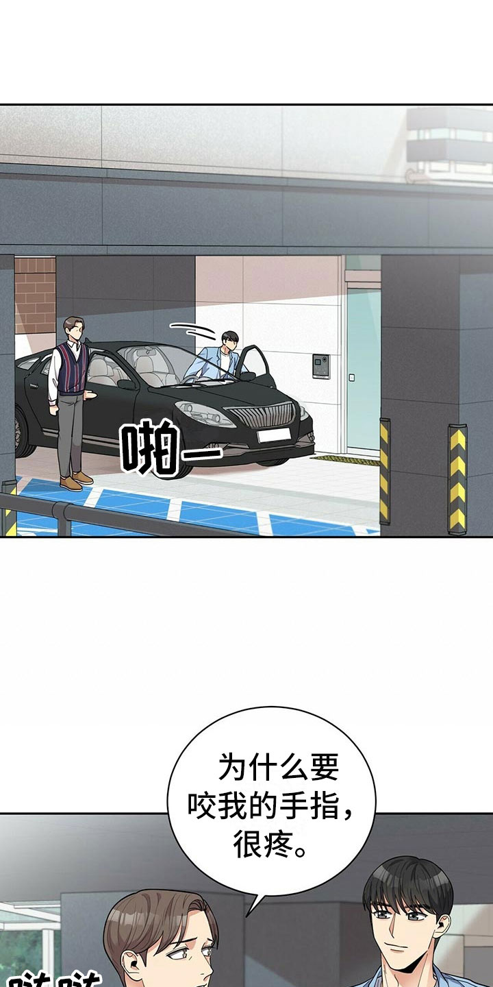 第9章：可疑的袋子4