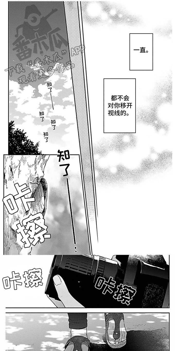 第21章：爱的夏天【完结】0