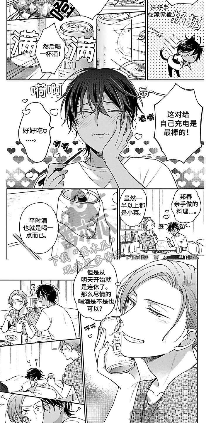 第11章：带回家3