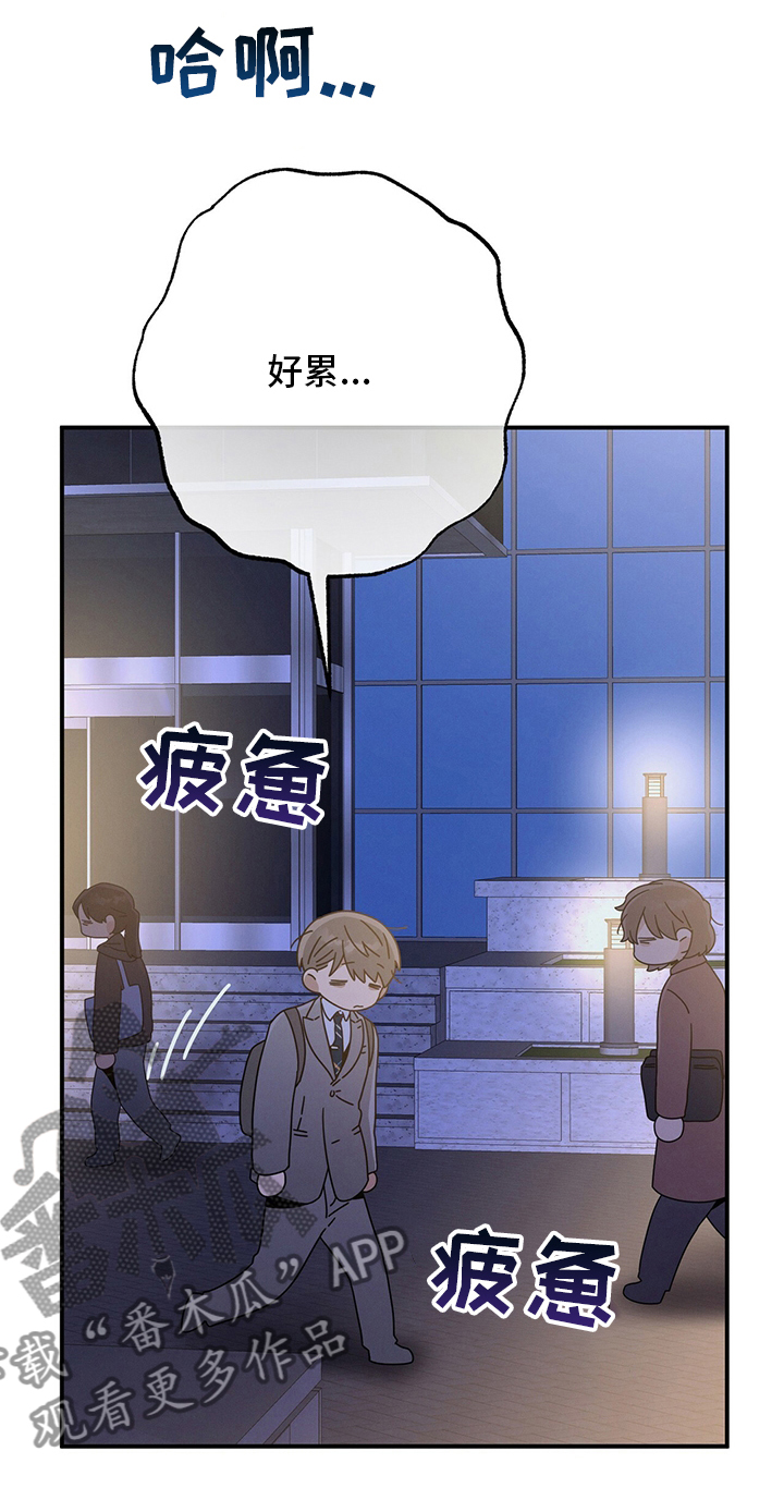 第51章：第二场考试0