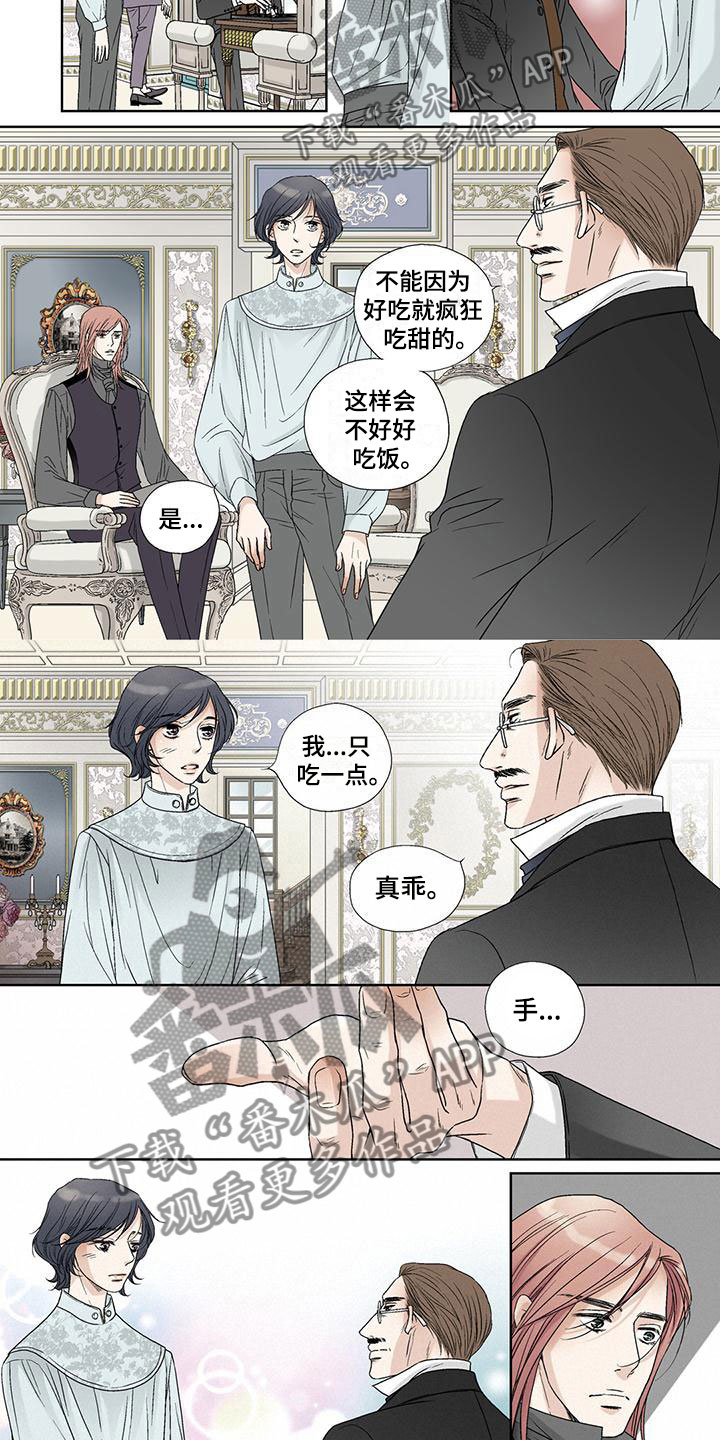 第14章：手1