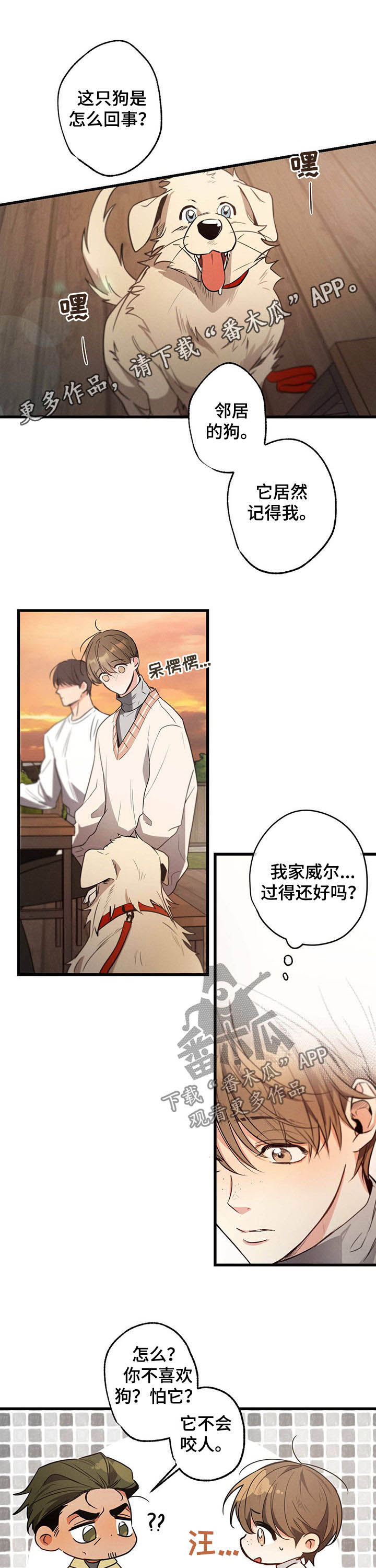 第38章：抱着狗哭0