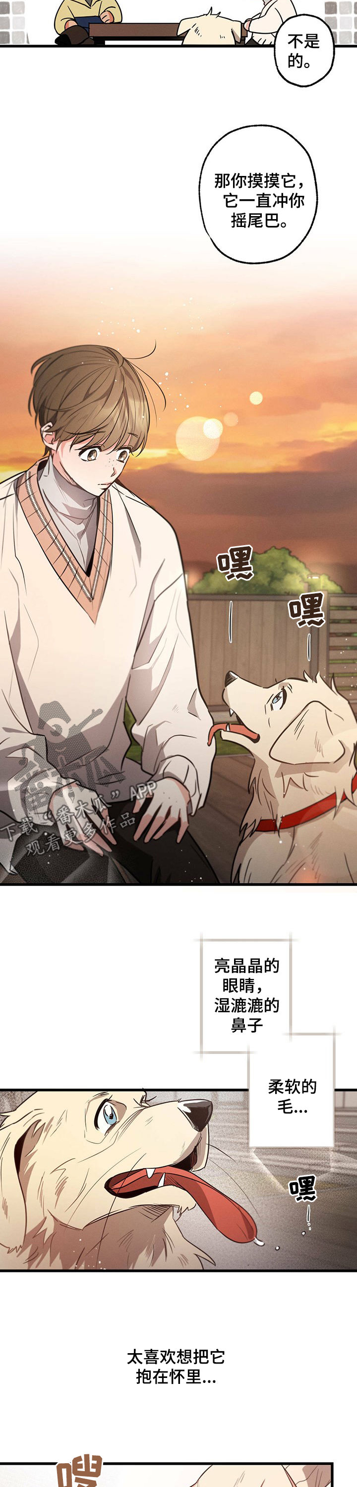 第38章：抱着狗哭1