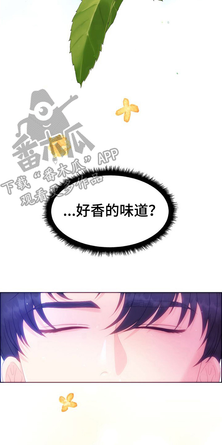 第26章：借口1
