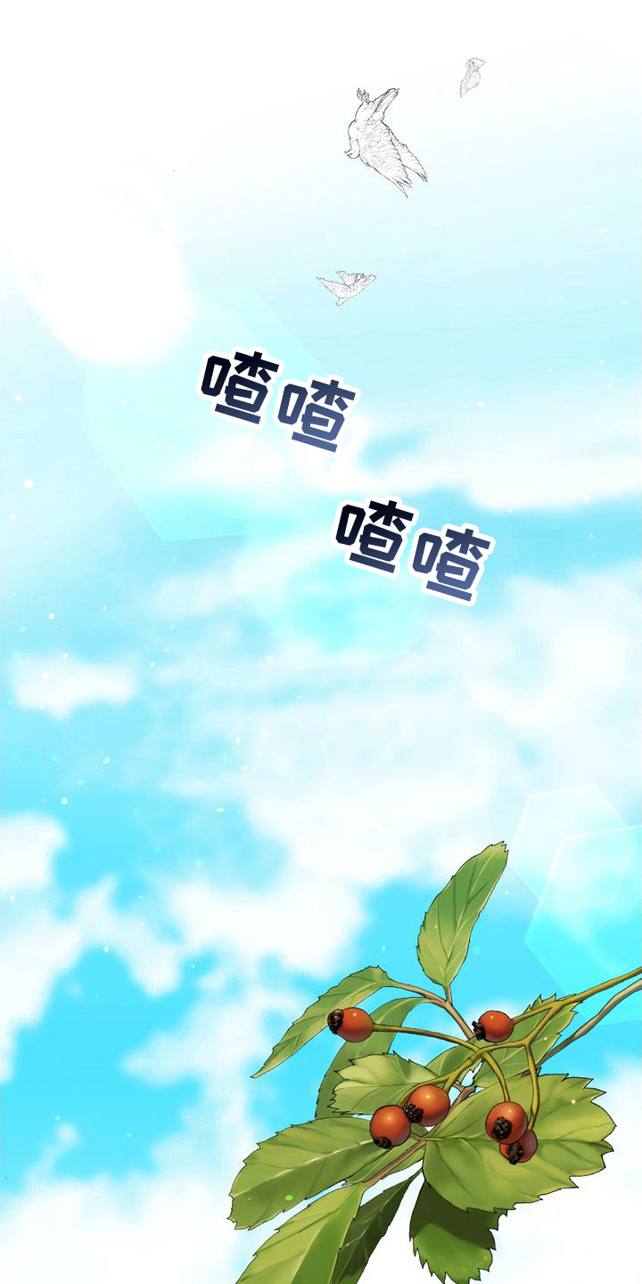 第26章：借口0