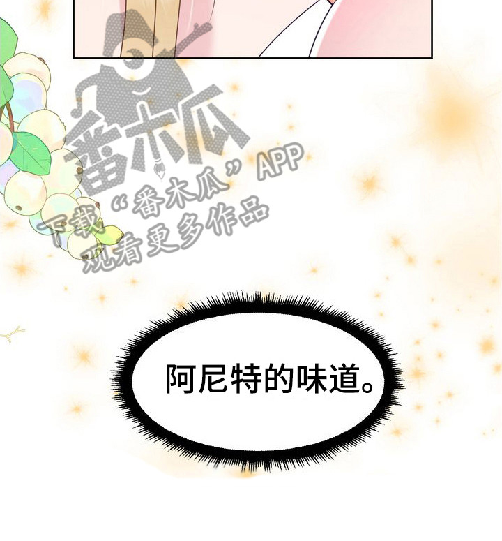 第26章：借口4
