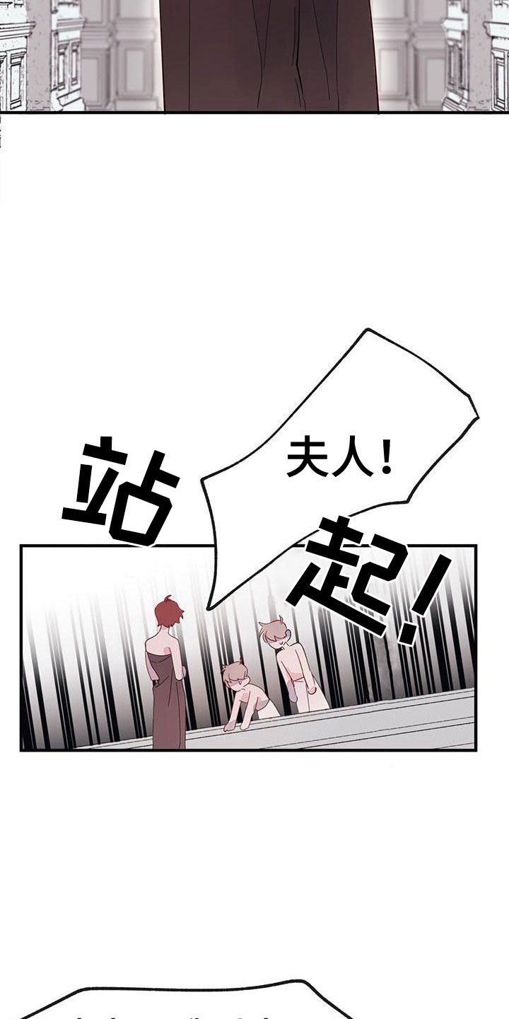 第17章：冤枉啊1